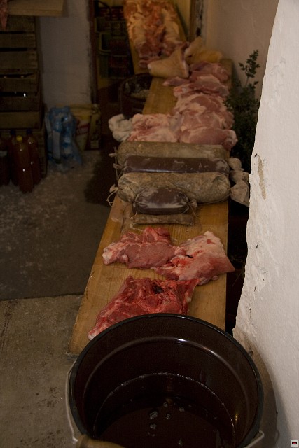 MG_3773.jpg
