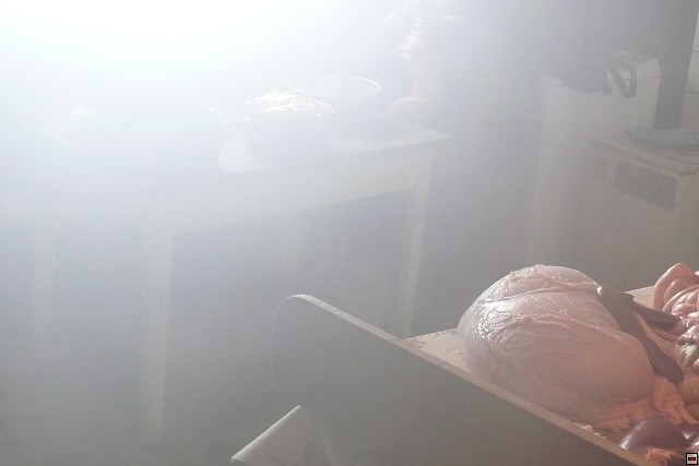 P1010487.jpg
