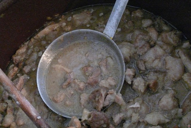 P1010556.jpg