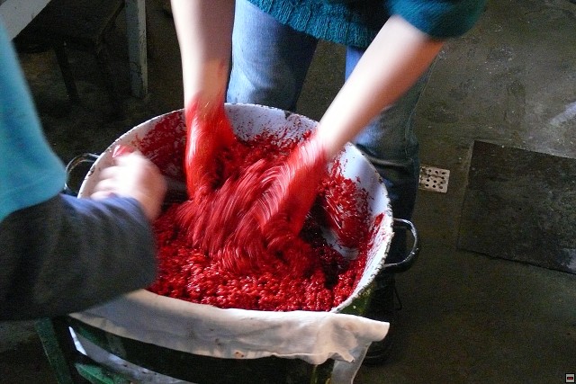 P1010574.jpg