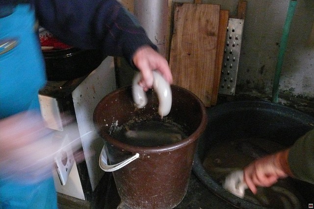 P1010588.jpg