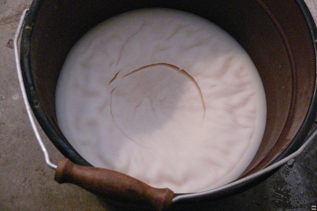 P1010610.jpg