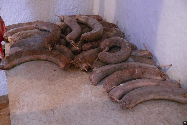 P1010613.jpg
