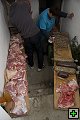 thn_MG_3723.jpg
