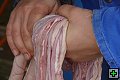 thn_P1010530.jpg